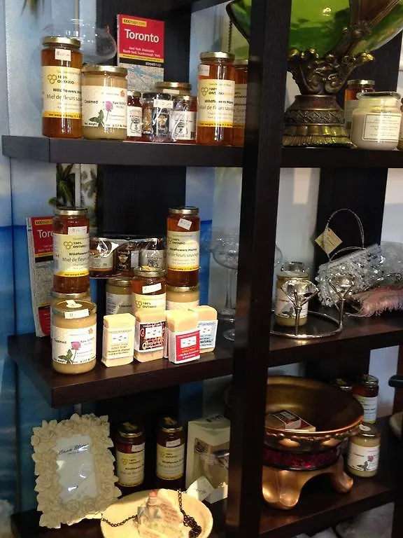 فندق مبيت وإفطار تورونتو Smile Back B&B